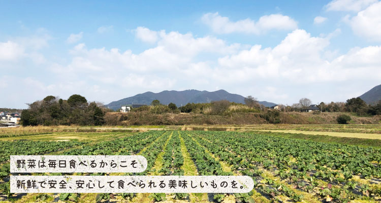 野菜は毎日食べるからこそ新鮮で安全、安心して食べられる美味しいものを。